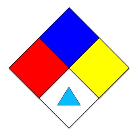 Primary Raster logo